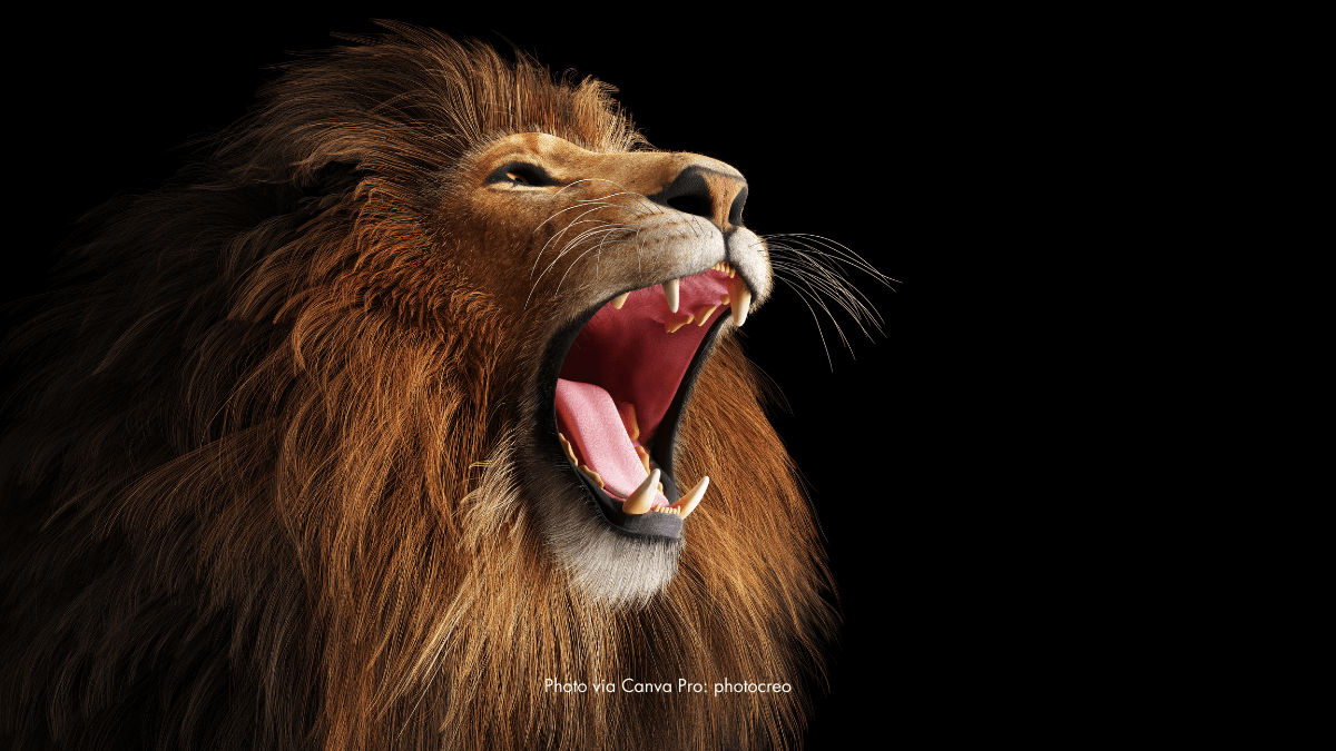 Photographer Startled By A Lion’s Roar, Captured By Its Smile