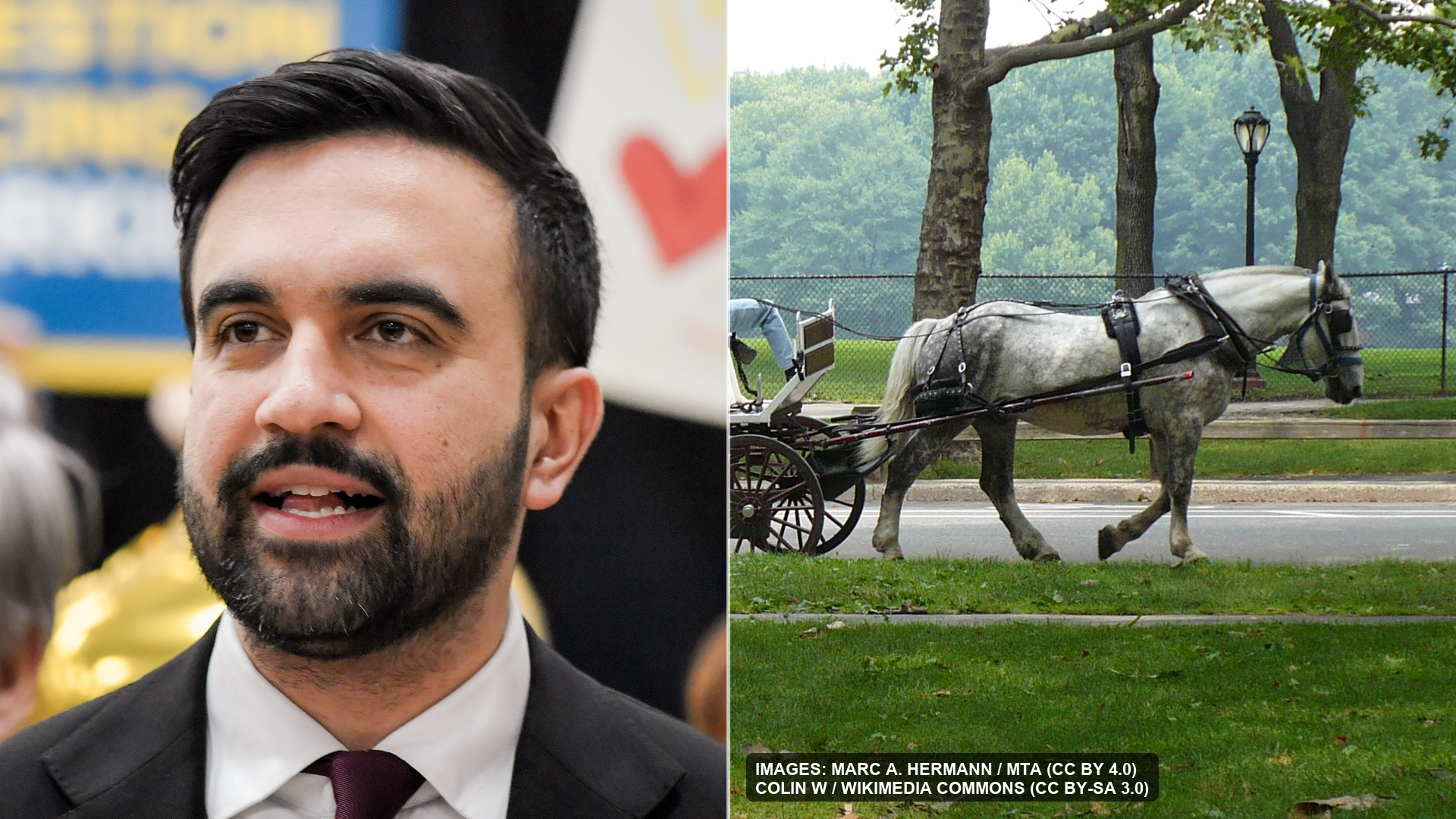 If NYC bans horse-drawn carriages, where do the horses go?